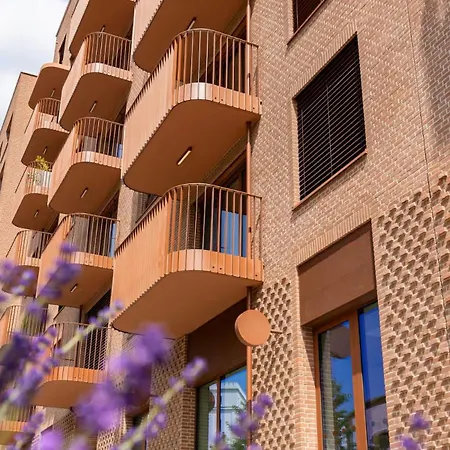 Modern Hidden Oasis In شقة
